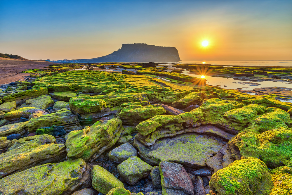15-amazing-ways-to-enjoy-jeju-in-autumn-direct-asia